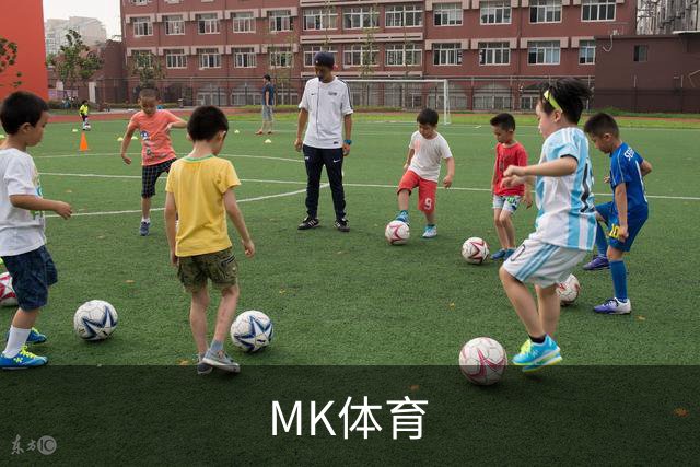 MK体育公司简介